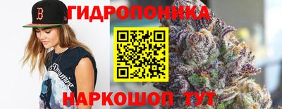 таблы Новозыбков