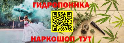 таблы Новозыбков