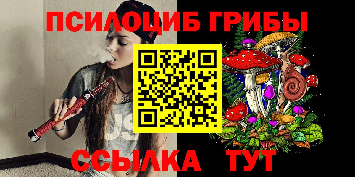 Химки  Галлюциногенные грибы Psilocybe  Вход с VPN 